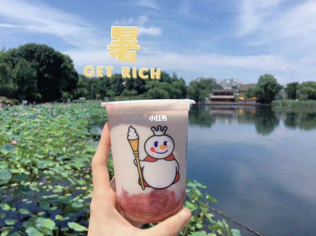 蜜雪冰城同类的加盟店有哪些，蜜雪冰城类的加盟店