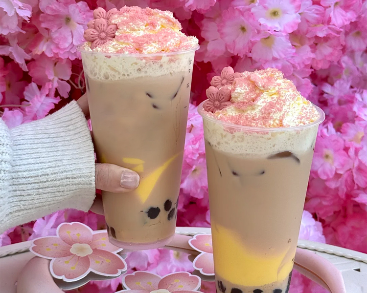 古茗加盟费及加盟条件介绍，古茗开店总费用多少钱